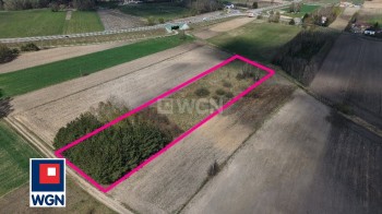 Grunt budowlany jednorodzinny na  sprzedaż Niecki - Niecki - działka 6600 m2 z warunkami zabudowy